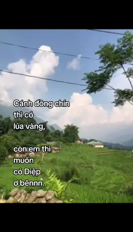 vịu ơ anh Khánh😘💗🫰🫶😍💞 @bapiuu212 @duongngocdiep212#xxxxxuuuuuhhhhhhuuuuuooooonnnngggg #iloveyou #xuhuong #xhuongtiktok #xuhuongtiktok #sapa #xh #ngocdiep #yeudiep 