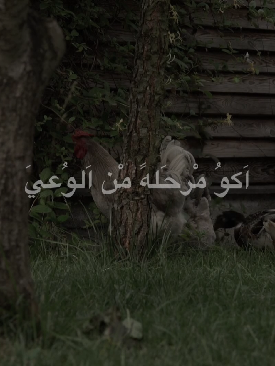 يلغيَ شيَ اسَمه التبريَر  #الشيخ_احمد_الوائلي  #اكسبلورexplore 