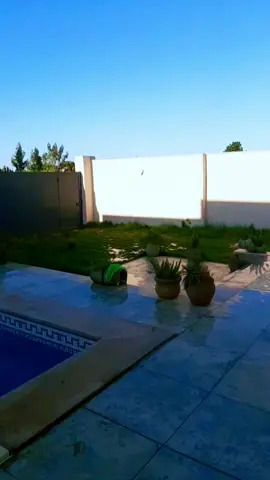 #وادي_الربيع_عين_زارة_طرابلس❤🥀 #الحمدلله_دائماً_وابداً #إنا_الله_وملائكته_يصلون_على_النبي #الشعب_الصيني_ماله_حل😂😂  @﮼علي | 𝕬𝖑𝖎 🖤🎶🎧 @أحمد عون @أغاني ليبية 