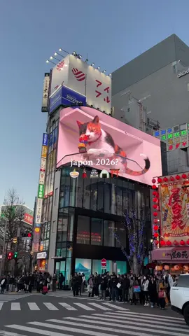 Japón 2025-2026 ⛩️🧘‍♀️🧘 #japon #japan #tokyo #japantravel #japanesefood #kyoto #osaka #nara #japon2025 #shinjuku #asia 