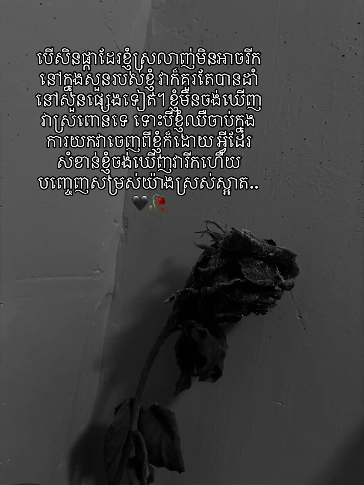 ផ្កា🥀🖤