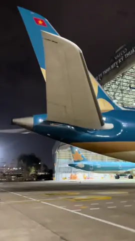 Nghe sướng lỗ tai 😂