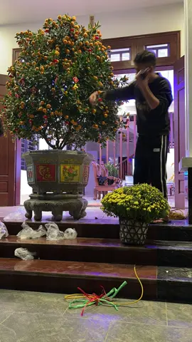 Đếm ngược chờ đón Tết 2026 🥰 #tet 