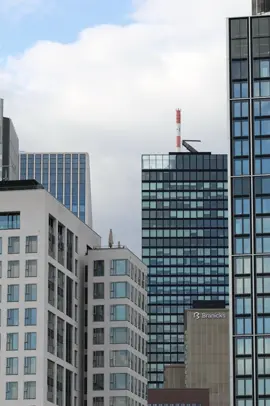 „Still in Frankfurt“#Frankfurt #FrankfurtCity #SkylineViews #UrbanVibes #Cityscape #CityView #GermanyTravel #VisitFrankfurt #FrankfurtSkyline #ModernArchitecture #CityLights #UrbanPhotography #CityLife #HighRiseViews #SkylineLovers #FrankfurtVibes #EuropeanCities #CityExploration #ArchitectureLovers #CityInspiration