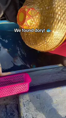 #northsea #nature #fish #findingnemo #ocean 