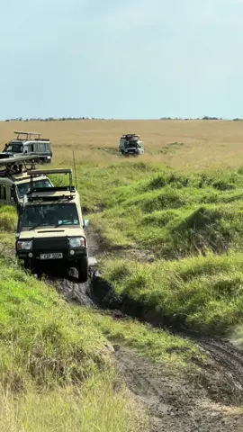 #africansafari #bonefirenight #explore #wildlifephotography ##junglesafari #jeepsafari #landroverdefender #maasaimaranationalreserve #samburunationalreserve 