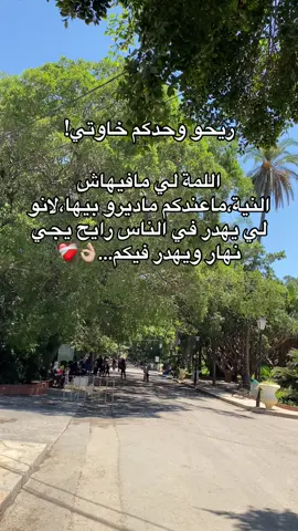 #تصيمم_فيديوهات🎶🎤🎬 #دير_جام_في_خاطر_هاذ_الفيديو❤✨ #algerian🇩🇿 #100k 