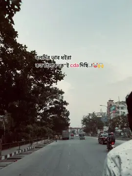 বলদের ভাব ধইরা কত চালাক'কে