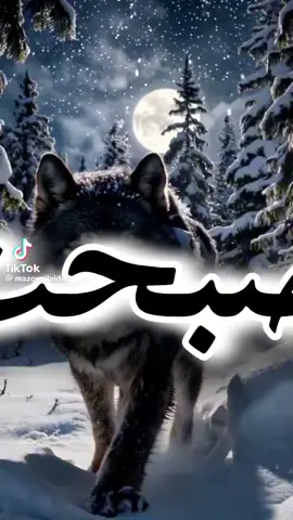 الصمت هو من يريح بالك وقلبك وعقلك وكرامتك
