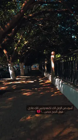 #explore #fyp #nablus #لايك_متابعه_اكسبلور 