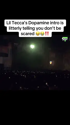 Have yall seen dopamine live ?  #liltecca #fyp #foryou #lilteccaedit #dopamine #dd #beachplease #beachplz #festival 