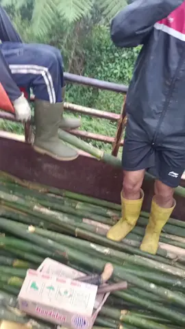 Pring Basuri 😂#fypシ #untukmu #basuri #semuaorang #masukberandafyp 