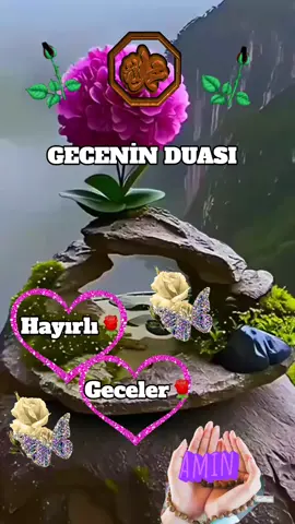 #aminnn🤲🕊🌹🕊🌹🕊🌹🕊🌹 #keşfettiktok #keşfettttttttttt #viral 