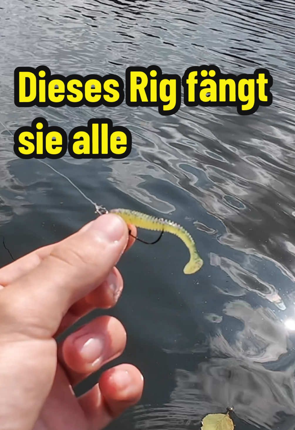 Nutzt ihr solche Montagen zum Barschangeln?