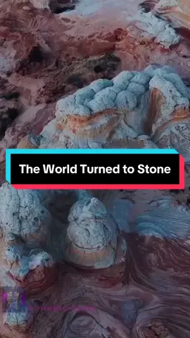 They tell you to dismiss the evidence of your eyes and ears. They say what we see is nothing more than pareidolia or just some coincidence. Coincidence is running in to your coworker at the store, not the supposed inorganic stone perfectly matching the organic a thousand times over worldwide.  #questioneverything #oldworld #history #historyreset #mudfossils #geology #geologyishardenedbiology #fyp #giant #petrification 
