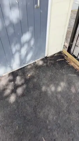 Look who I found hanging around outside the toilets…! #fyp #foryoupage #funny #explore #explorepage✨ #creator #hotwife #public @Robyn Quinn 