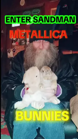 BUNNIES DANCING TOO METALLICA #ENTERSANDMAN #METALLICA #BUNNIES #NJ 