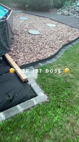 Nur Spaß 😎