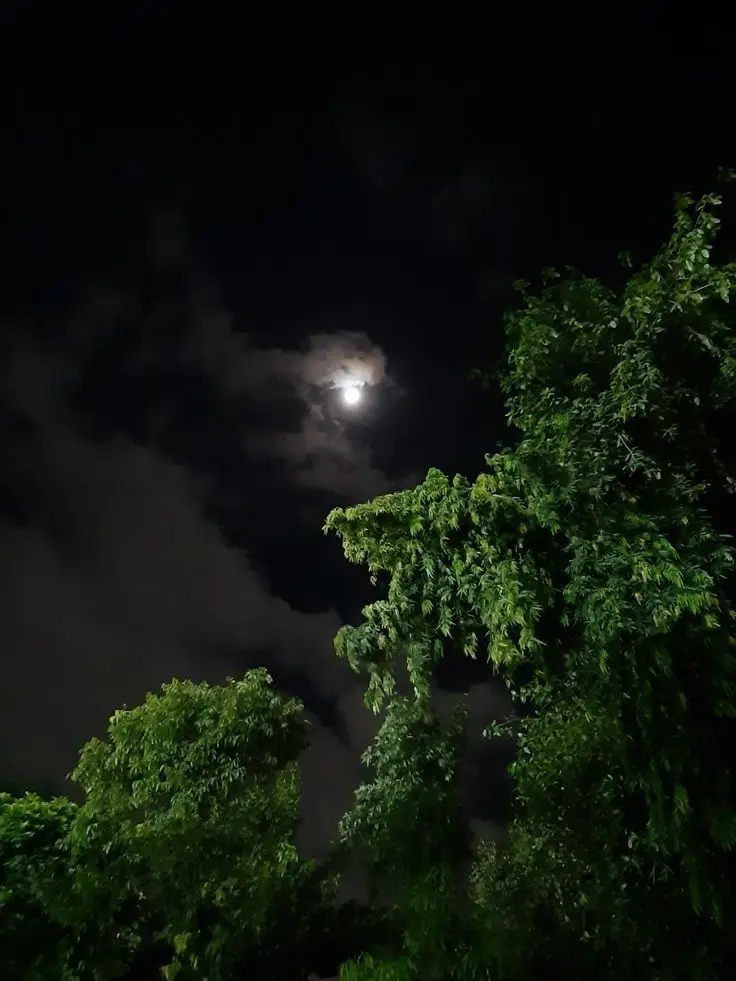 اس نے مجھے ایک دفعہ کہا کہ تم مجھے ہرٹ کر رہے ہو میں شرمندہ ہوا میں نے معذرت کی اس وقت میں نے یہ نہیں سوچا کہ میں بھی ہرٹ ہوا ہوں پھر اس نے کہا کہ تم اس طرح مجھے کھو دو گے ایک دن ،، میں ڈر گیا کہ اگر اس کو کھو دیا تو میں تو سچ میں مر جاؤں گا اس وقت میں نے یہ نہیں سوچا کہ کیا میں ہی صرف اسے کھونے والا ہوں ؟؟ کیا وہ مجھے نہیں کھو سکتی ؟؟؟ بہت سوچنے کے بعد یہ بات سمجھ آئی کہ ہر وقت کسی کو میسر نہیں ہوا کریں اس سے سامنے والے انسان کو یہ یقین ہو جاتا ہے کہ آپ اسے کبھی نہیں چھوڑ سکتے وہ جو چاہے آپ کے ساتھ کر سکتا ہے اور آپ اسے جواب دینے کے بھی قابل نہیں ہوتے تو میرا یہ ماننا ہے کہ ۔۔۔۔۔ کبھی بھی اپنی زندگی کی ڈور کسی ایسے شخص کے ہاتھ میں نہیں دینی چاہیے ، جسے آپ کی قدر نہ ہو ،، جس کے لیے آپ صرف میسر اور موجود ہوں۔۔ دوسروں سے کسی قسم کی توقع آپ کو اندر در ہی اندر مار دیتی ہے#😭🙏