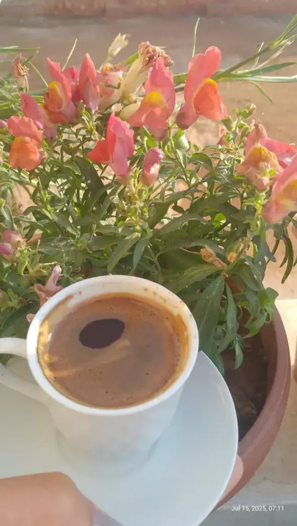 #ليك______🖤___متابعه____اكسبلووور 