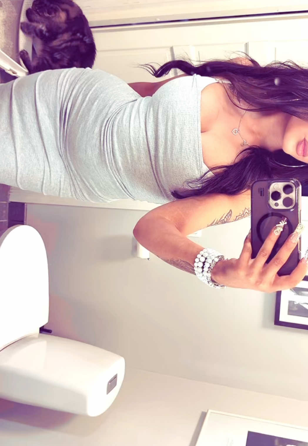 spottaa kissa