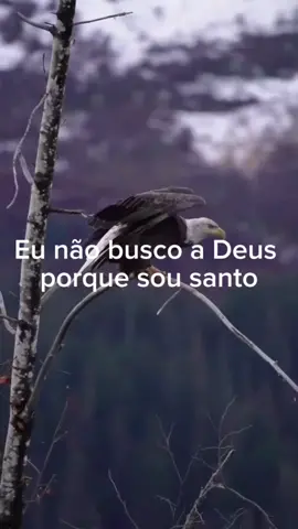 Eu não busco a Deus porque sou santo. #motivacion #reflexão #Deus 