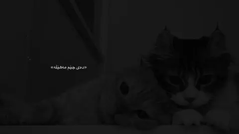 دەی جێم مەهێڵە💍.#foryou #tiktok #acc #foryourpage #music #actives? 