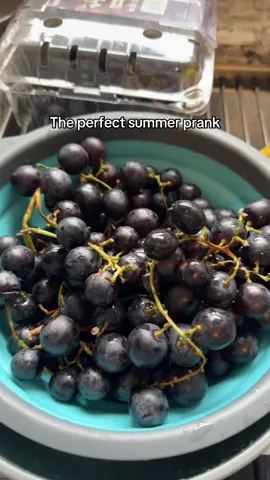 As long as no one is allergic to olives lol #Summer #prank #grapes 