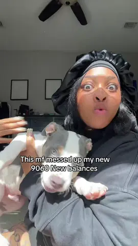 #fyp #9060 #newbalance #puppy 