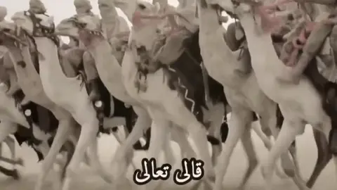 #قالى_تعالى_ستدعون_الى_قوم_اولى_بأس_شديد #قيس_عيلان #وما_الأرض_الا_قيس_عيلان_اهلوها 