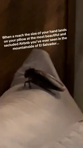 We lasted 2 hours in that Airbnb and learned we’re not as rugged as we’d thought. #fyp #foryou #foryoupage #viral #funnyvideos #scareprank #roach #elsalvador 