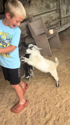 #fyp #goats #farm #mountainhomeplace #kentucky #606 #country 