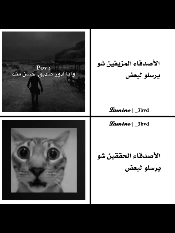 انا شو ارسل لصديقي #تصميم_فيديوهات🎶🎤🎬 #تصميمي❤️ #صاحبي 