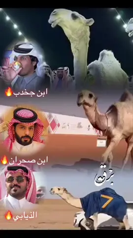 #ابن #بندر_جخدب #الصياهد #غازي_الذيابي #ابن_صحران #fyppppppppppppppppppppppp 