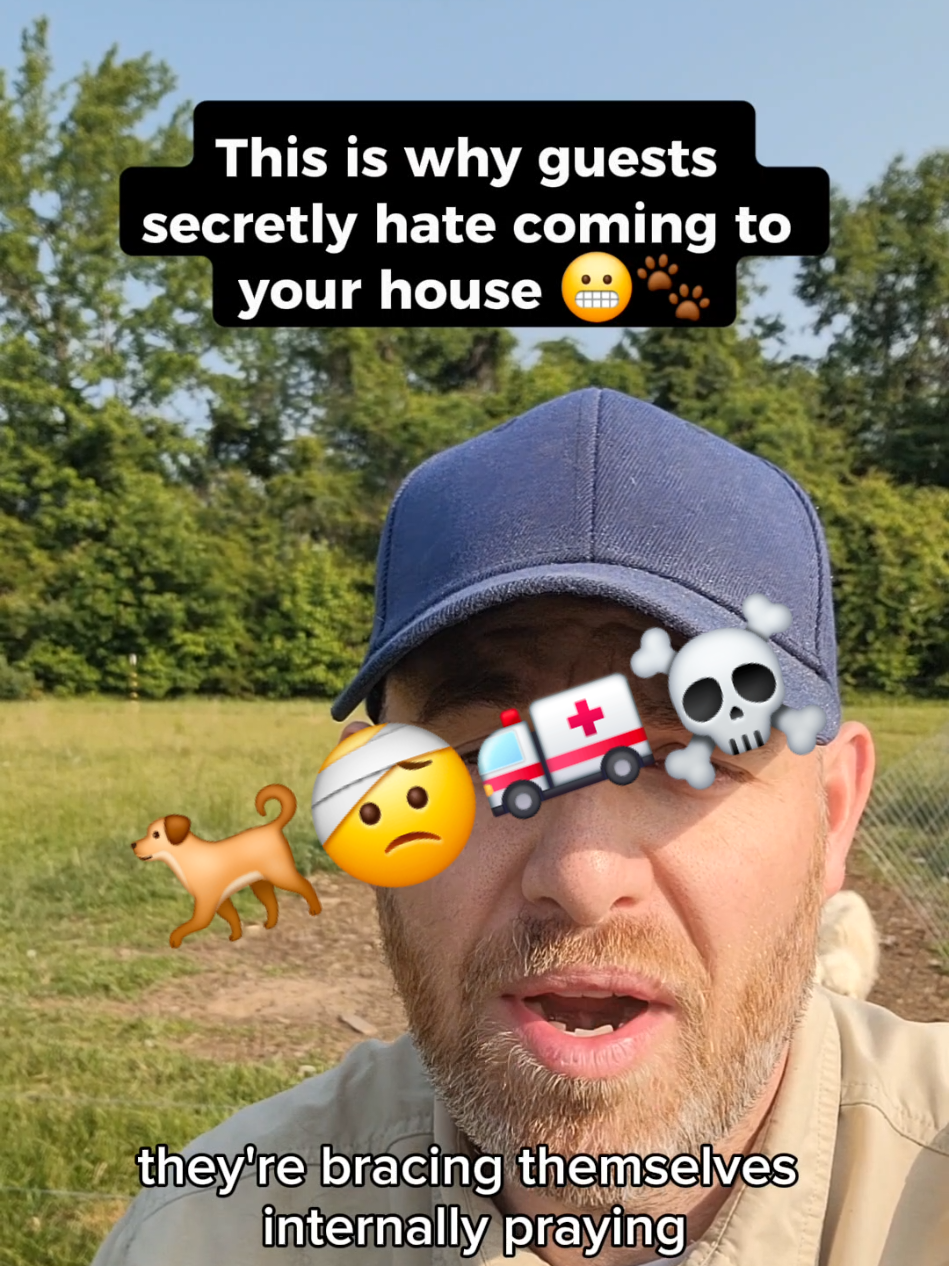 This is why guests secretly hate coming to your house 😬🐾 #dogtrainingtips #dogbehavior #dogsoftiktok #DogTraining #doggames #positivedogtraining 