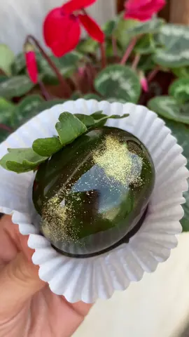 Nossa uva do amor é simplesmente LINDAAAA 🤩💚 #uvadoamor #contenido 