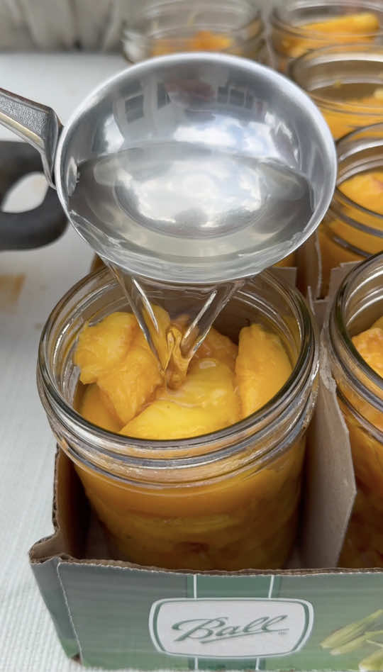 I make this every August! 🍑 #peach #EasyRecipe #peachcobbler #canning #fyp 