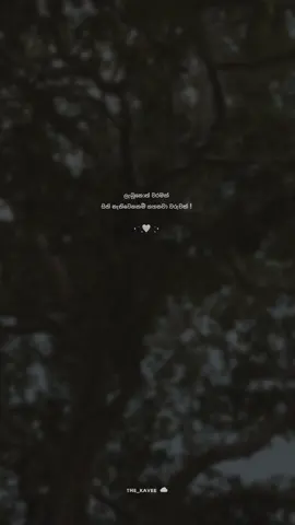 🙂🤍💐 #srilankan_tik_tok #foryoupage #viral #fypシ゚viral🖤tiktok #trendingvideo #viral_video #onemilioneaudition #t #viralvideo #tiktok #createforchange