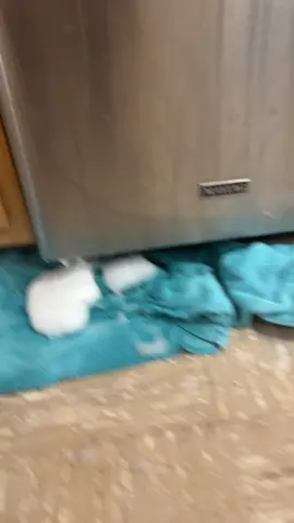 #dishwasher #fyp #dawn #oops