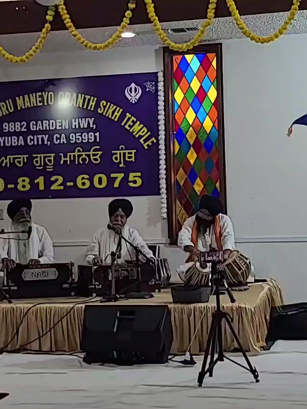 Savan Sankranti 🎸🎵🙏#GurbaniShabadKirtan 