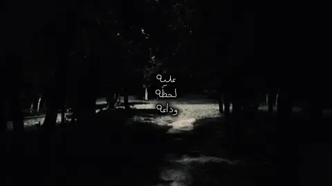 الله لايسقي وداعه .                                   #explore #viral #fyp #like 