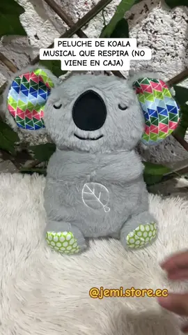 #koala #viraltiktok #viral 