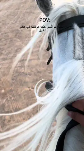 مين زيي يحب المسارات😁؟!#مالي_خلق_احط_هاشتاقات #خيل_وخياله🐎 #الشعب_الصيني_ماله_حل😂😂 