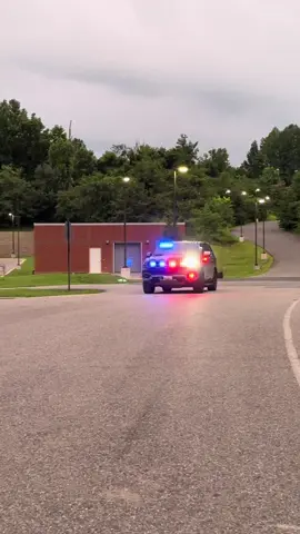 Omega Sweep! 🚔🚨#lawenforcement #fyp #police #k9 #foryoupage #viral #thinblueline                     