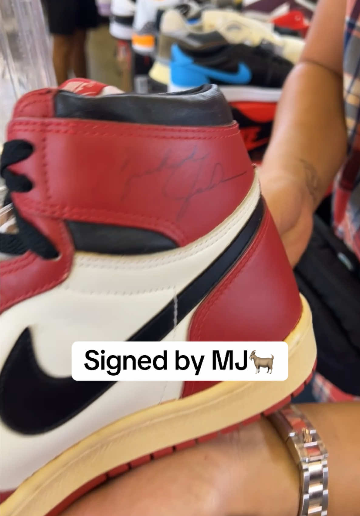 1985 Jordan 1s signed by MJ🐐🔥 #sneakers #sneakerhead #fy 
