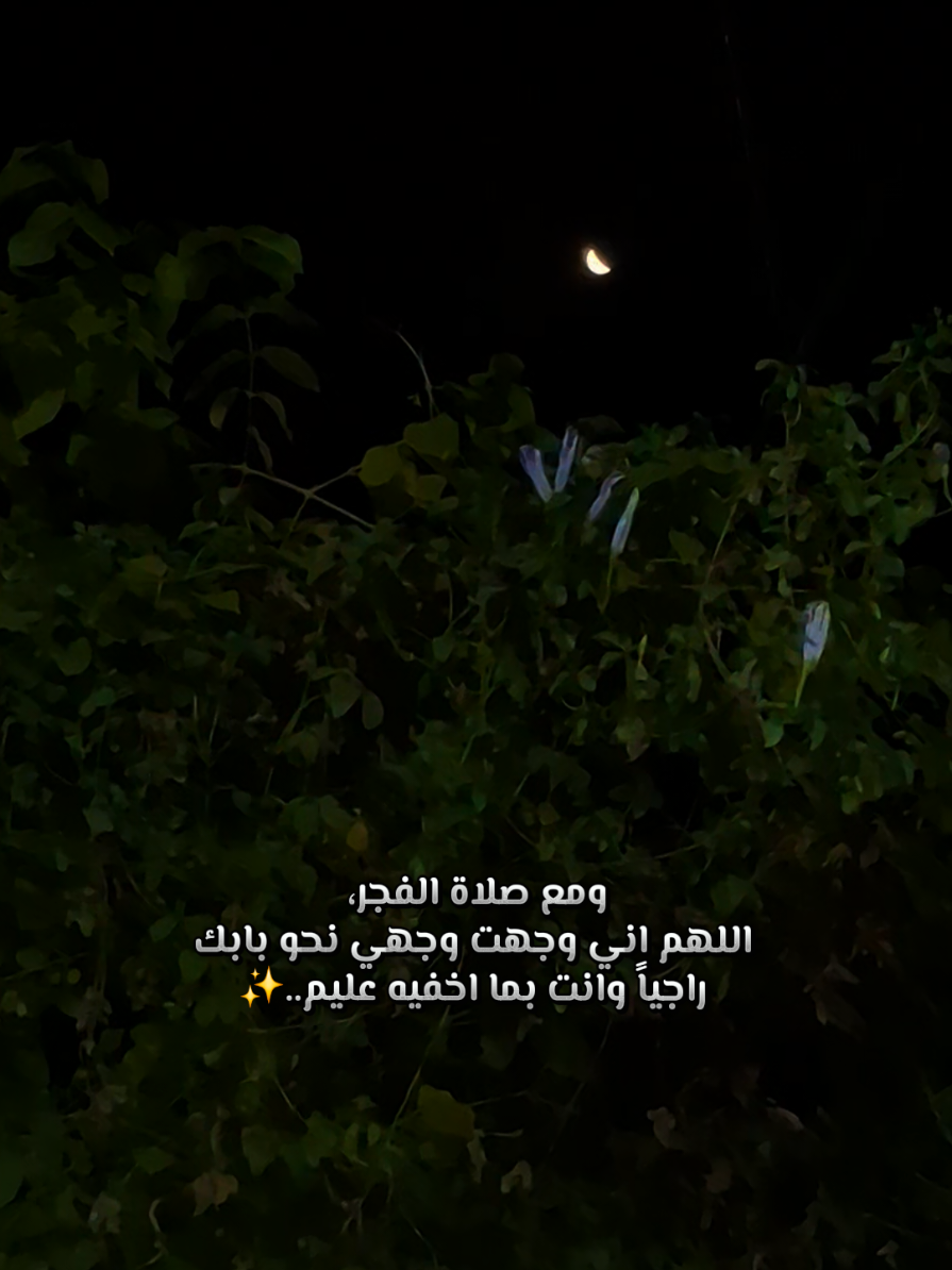 يارب 🥹✨ #كربلاء #اذان_الفجر  #صلاة_الفجر 