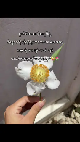 🤪🫶🏻happy anniversary par koko @@Net rayn👻 #တတ်စမ်းကွာfyp😭 #fypရောက်စမ်း🥴 #မူးရင်းပါfypシ 