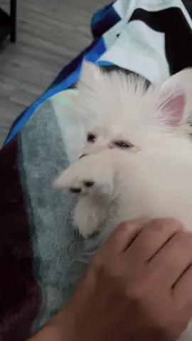 Cómo te amo ❤️ 