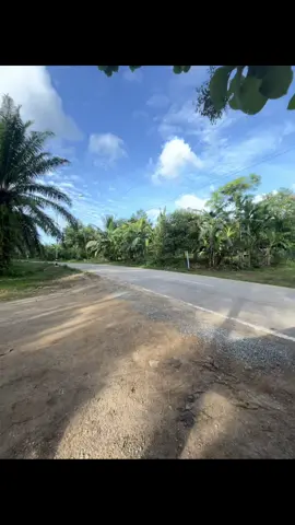 #พนมแลนด์แดนไฮโซ #ไลฟ์โฟโต้ #สุราษฎร์ธานี 