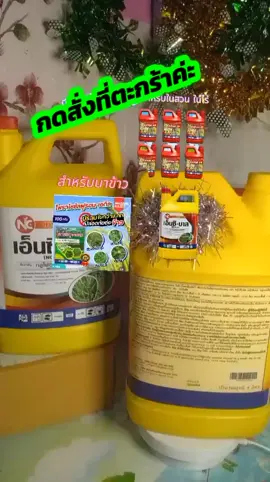 #tiktoklive #livehighlights 